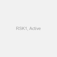 RSK1, Active